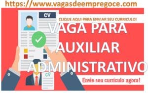 Auxiliar Administrativo