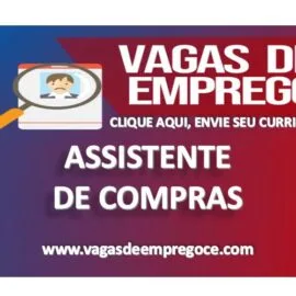 R7 Informatica Seleciona Assistente de Compras