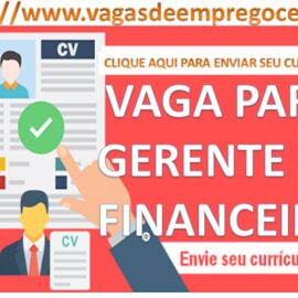 Gerente Administrativo Financeiro