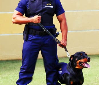 Bichucher Comercio de alimentos Ltda Recruta: Segurança, R$ 1.794,28 Segurança