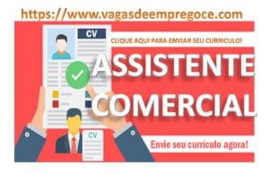 Assistente Comercial