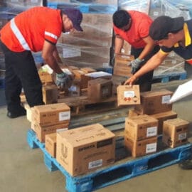 Oportunidade para Conferente