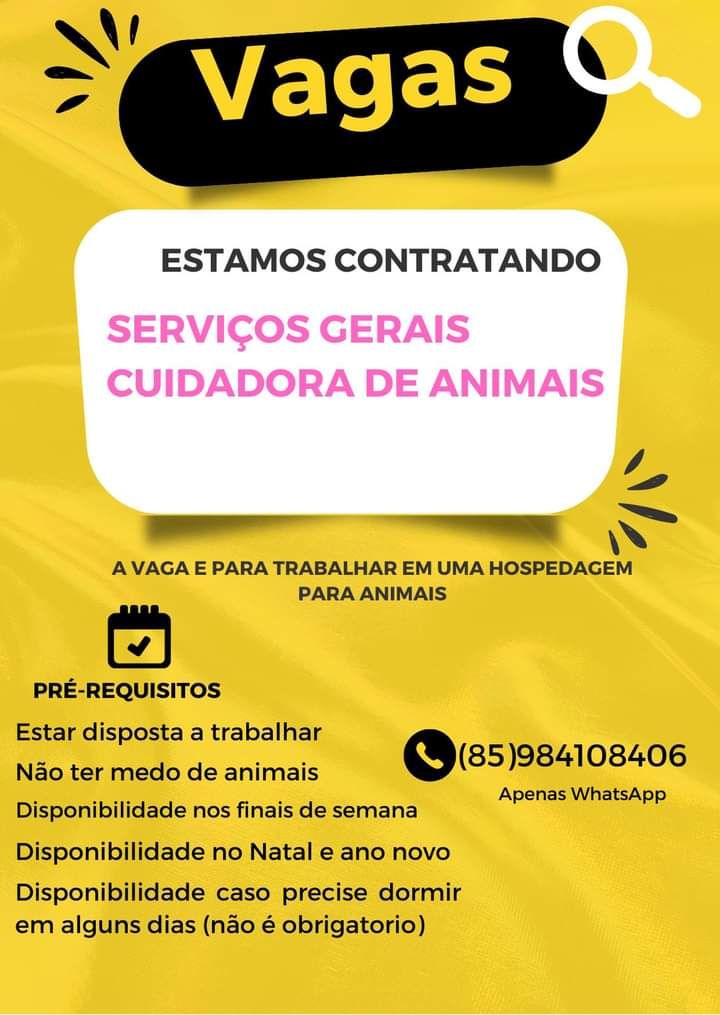 fb_img_17041333274196413286152415669222 Oportunidade para Cuidadora de Animais