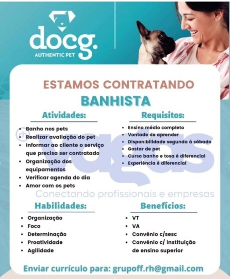 image_editor_output_image-1257274178-1706996767838 Docg Recruta Banhista