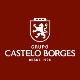 Castelo Borges Administração  Seleciona Recepcionista