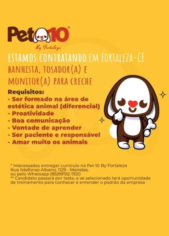 img-20250220-wa01884886974289444264020 Pet10 Recruta  Banhista(o), Tosador(o) e Monitor para Creche Banhador Monitor Tosador  