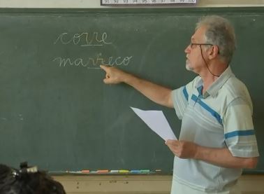 Professor de Língua Portuguesa