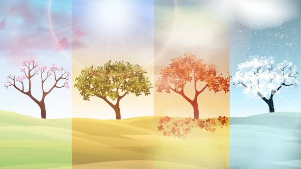 Mensagem do dia: Estações