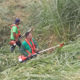 Vaga para Capinar – Maracanaú
