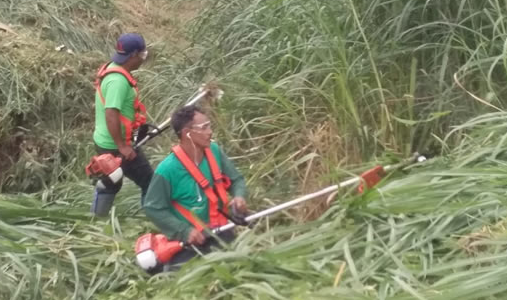 Vaga para Capinar – Maracanaú Vaga para Capinar – Maracanaú