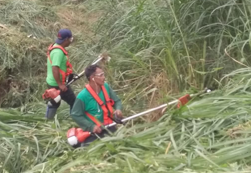 Vaga para Capinar – Maracanaú Vaga para Capinar – Maracanaú