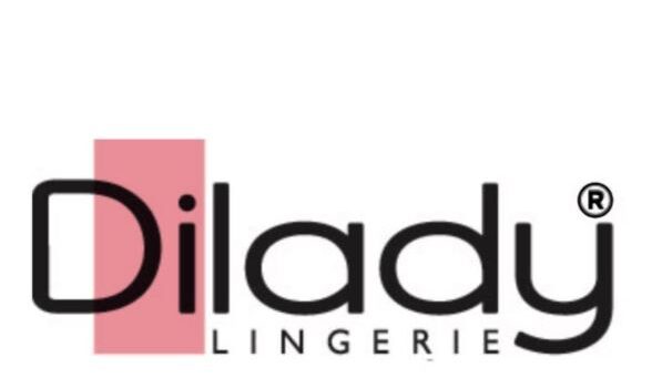 Dilady Lingerie Seleciona Operador de Máquina de Costura Dilady Lingerie Seleciona Operador de Máquina de Costura