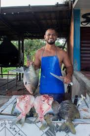 Vaga Para: Para trabalhar com corte de frango e peixe Vaga Para: Para trabalhar com corte de frango e peixe