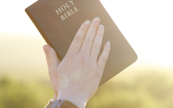 Mensagem do Dia: Promessa cumprida