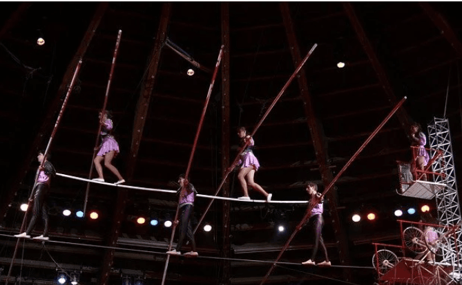 Conheça a Profissão de Aramista