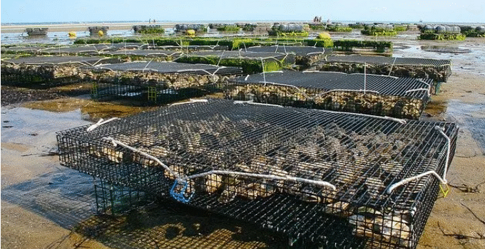 conheça A profissão de Aquicultor conheça A profissão de Aquicultor