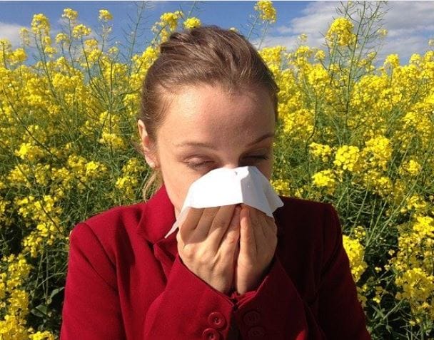 Conheça a Profissão de Alergologista