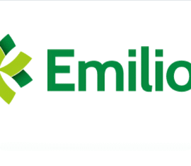 Emílio Ribas Abre Diverdas Oportunidades em Fortaleza/CE