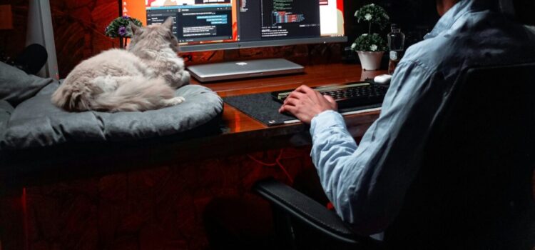 Analista de Dados: Migração de Sistemas Remoto na Celk 2026