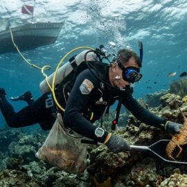 Média Salarial para Mergulhador – Pescador de Lagosta