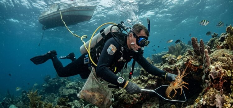 Média Salarial para Mergulhador – Pescador de Lagosta Média Salarial para Mergulhador – Pescador de Lagosta