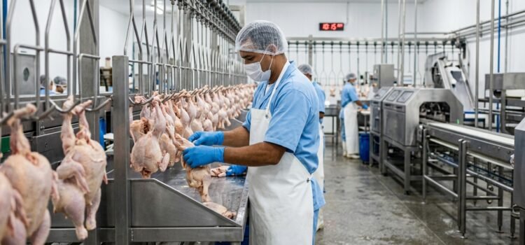 Vaga de Emprego para Abatedor de Aves em Iguatu: Conquiste Sua Vaga no Mercado de Trabalho Vaga de Emprego para Abatedor de Aves em Iguatu: Conquiste Sua Vaga no Mercado de Trabalho